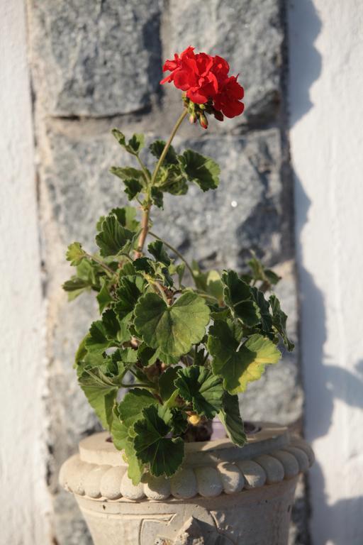 Bed and Breakfast Il Forno Dal 1922 Bene Vagienna Exterior foto